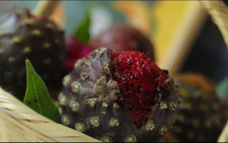 La mayor producción de pitaya sucede en mayo, por lo que las que se comienzan a comercializar luego de abril son altas en su precio. EL INFORMADOR / ARCHIVO