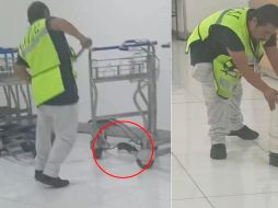 Hasta el momento, el primer video cuenta con 831 mil reproducciones, más de 59 mil 