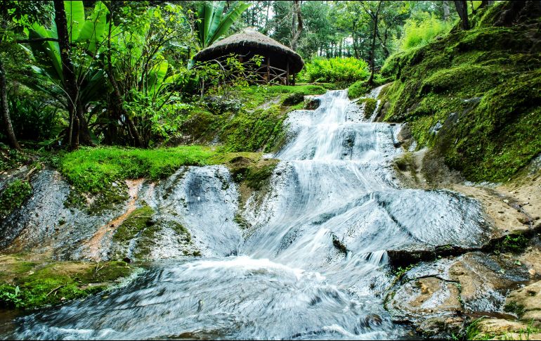 Sierra del Tigre. ESPECIAL/JALISCO ES MÉXICO.