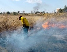 El incendio reportado en El Bajío fue controlado. ESPECIAL
