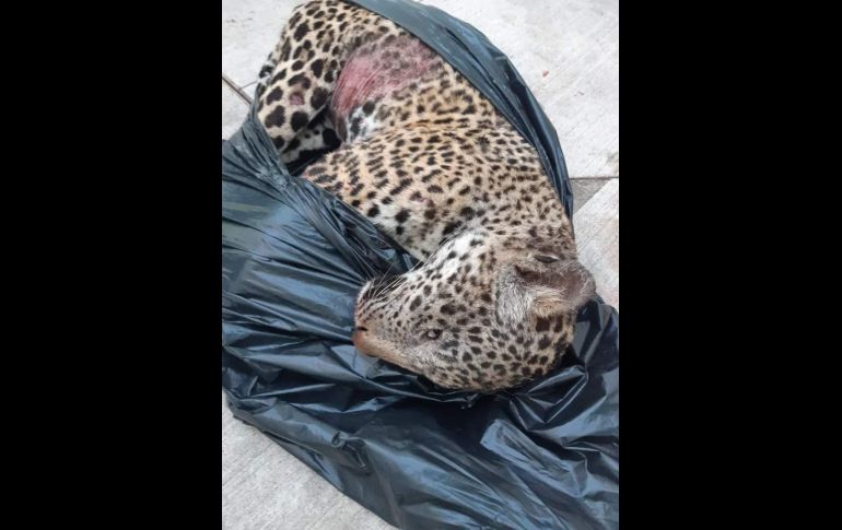 FACEBOOK / Noticias Desde La Bahía