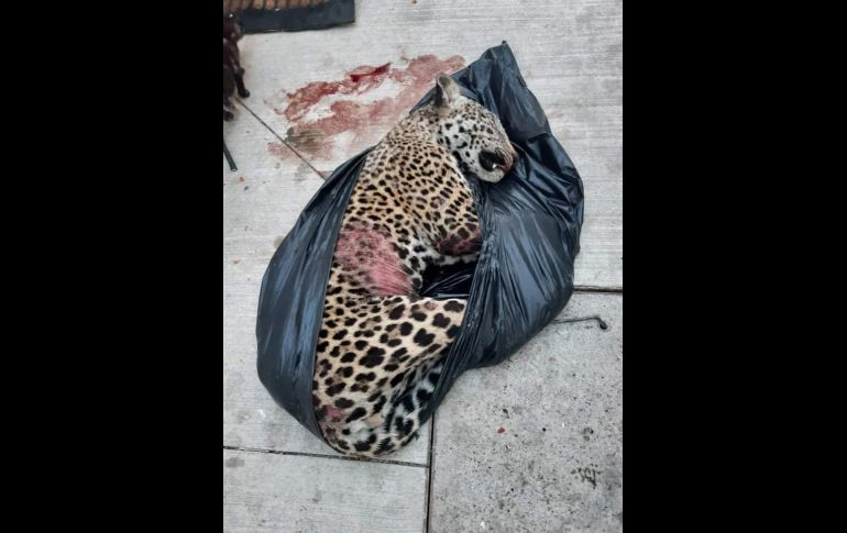 FACEBOOK / Noticias Desde La Bahía