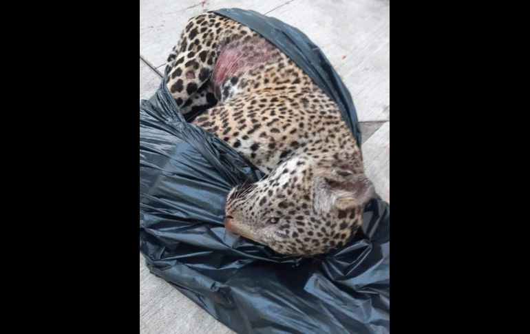 FACEBOOK / Noticias Desde La Bahía