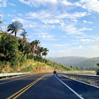 Matan a jaguar en nueva vía corta a Vallarta; denuncian omisiones en obra (FOTOS)