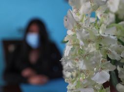 Sonia resalta que ella ha tenido que ir a recabar pruebas porque no se ha realizado bien la investigación. SUN/ARCHIVO