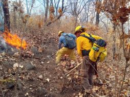 Brigadistas luchan contra el fuego en el cerro de Totoltepec, en Tlajomulco.ESPECIAL