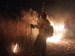 El siniestro inició poco después del mediodía del pasado 17 de abril. ESPECIAL/SEMADET