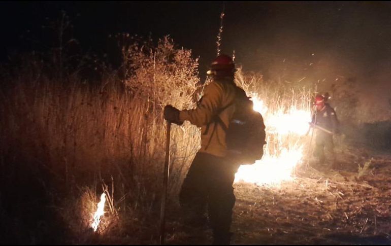 El siniestro inició poco después del mediodía del pasado 17 de abril. ESPECIAL/SEMADET