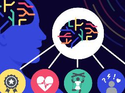 Investigadores hallaron la región del cerebro que conecta cuerpo y mente. EFE/S. Moser/Universidad de Washington