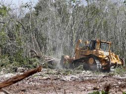 El fallo representa un nuevo revés al Tren Maya, obra emblemática del Presidente Andrés Manuel López Obrador. SUN/ARCHIVO