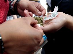 Es importante tener en cuenta que el consumo de marihuana es ilegal en muchos lugares y puede tener consecuencias negativas para la salud física y mental de las personas. SUN / ARCHIVO