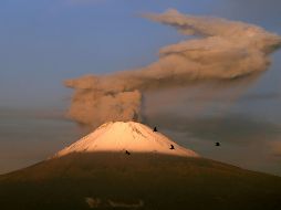 El semáforo de alerta volcánica permanece en amarillo fase 2. EFE/ARCHIVO