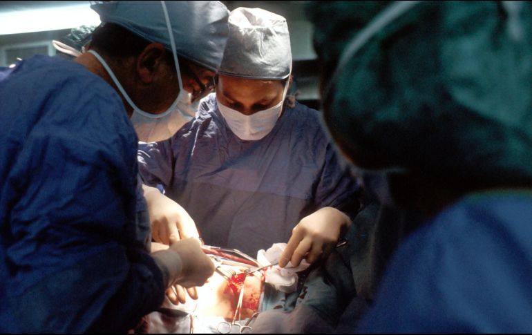 Foto de National Cancer Institute en Unsplash