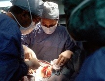 Foto de National Cancer Institute en Unsplash