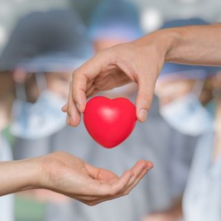 ¿Te gustaría ser donador voluntario de órganos y tejidos? Aquí te decimos cómo