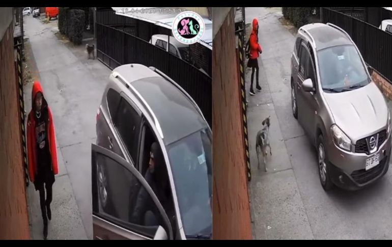 Una cámara de seguridad captó los hechos y se hizo viral en Twitter. ESPECIAL