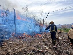 Combatientes forestales han trabajado sin descanso, con la finalidad de evitar una mayor propagación del fuego activo a zonas aledañas. TWITTER/ @UMPCyBZ