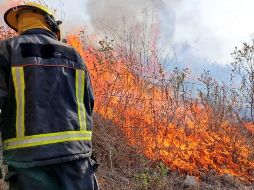 Debido a la mala calidad del aire, Semadet ha activado la Alerta Atmosférica para los municipios de Guadalajara, Zapopan y Tala. TWITTER/ @UMPCyBZ