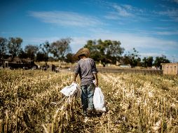 La FND deberá realizar la transferencia de los bienes, derechos y obligaciones al Instituto para Devolver al Pueblo lo Robado, misma que se llevará cabo conforme a las disposiciones jurídicas aplicables. EL INFORMADOR / ARCHIVO