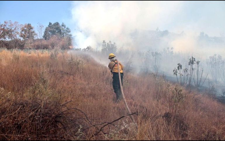 Hay tres incendios activos cercanos a la Cerretera a Nogales. ESPECIAL
