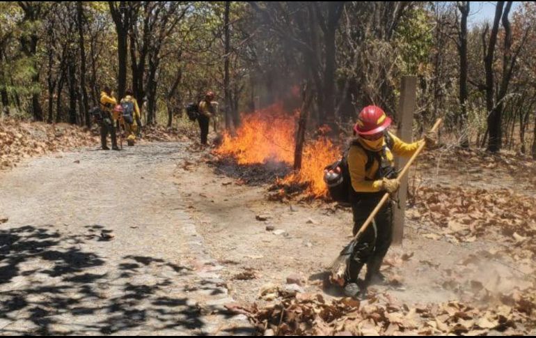 Debido a la temporada de calor se registran más incendios forestales. ESPECIAL