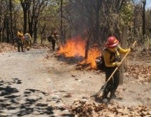 Debido a la temporada de calor se registran más incendios forestales. ESPECIAL
