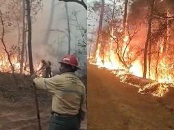 Se suman decenas de brigadistas para combatir un incendio en Tapalpa. ESPECIAL