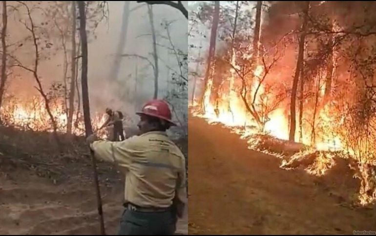 Se suman decenas de brigadistas para combatir un incendio en Tapalpa. ESPECIAL