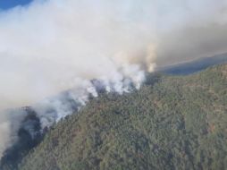 Se prevé que las autoridades controlen el incendio en el transcurso del día. ESPECIAL SEMADET Jalisco