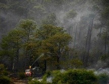 Hasta el momento se tiene el conocimiento de una cabaña afectada por las llamas del incendio. ESPECIAL/Gobierno de Jalisco