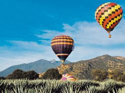 Sobrevolar un paisaje de agaves en globo aerostático será una de las actividades más completas en tu visita a Jalisco. ESPECIAL