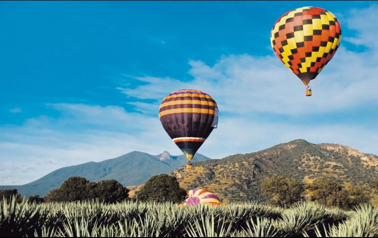 Sobrevolar un paisaje de agaves en globo aerostático será una de las actividades más completas en tu visita a Jalisco. ESPECIAL