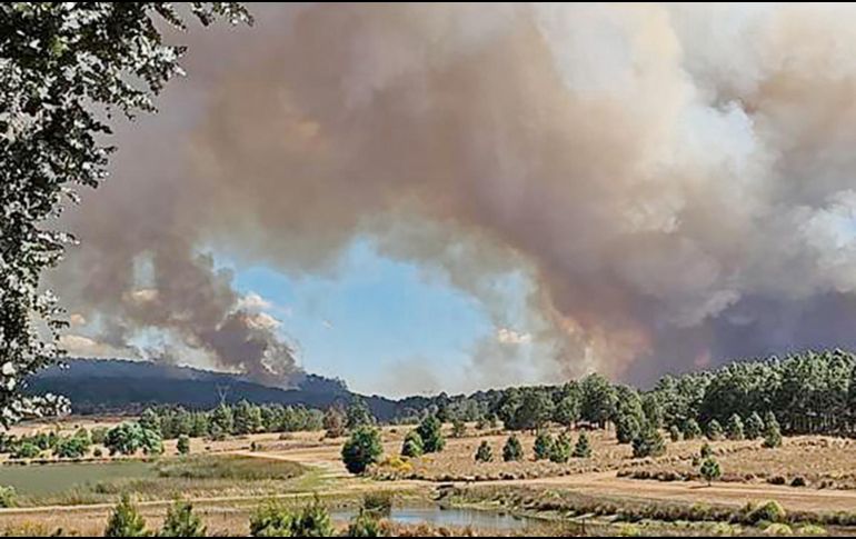 Ante los incendios, 260 personas fueron evacuadas en la región. ESPECIAL