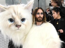 El actor Jared Leto decidió rendir homenaje al famoso gato de Karl Lagerfeld 