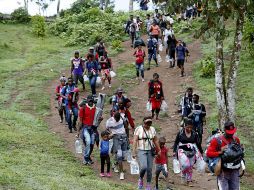 Migrantes haitianos en su camino hacia Panamá por el Tapón del Darién, en Acandi, Colombia. ARCHIVO/EFE