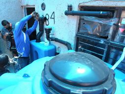 Los nidos de agua. EL INFORMADOR/ ARCHIVO