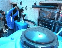 Los nidos de agua. EL INFORMADOR/ ARCHIVO