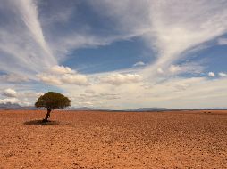 El calentamiento global afecta la duración e intensidad de los fenómenos meteorológicos como 