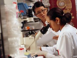 Las científicas reciben menos subvenciones y becas para sus investigaciones, según el estudio. ESPECIAL/UNSPLASH