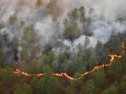 El incendio en los municipios de Atemajac de Brizuela y Chiquilistlán inició el domingo y aún continúa activo. ESPECIAL