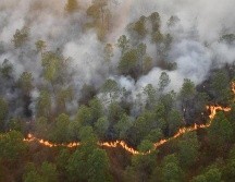 El incendio en los municipios de Atemajac de Brizuela y Chiquilistlán inició el domingo y aún continúa activo. ESPECIAL