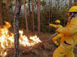 El incendio en  en el paraje Las Guásimas en los municipios de Chiquilistlán y Atemajac de Brizuela inició el domingo 30 de abril y continúa. ESPECIAL