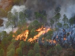 En la temporada de estiaje se registran cientos de incendios forestales; este año van 700 en Jalisco. ESPECIAL