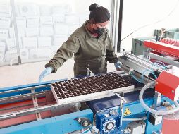 La estabilidad macroeconómica del país es un atractivo para la inversión de empresas extranjeras. EL INFORMADOR/ A. Camacho