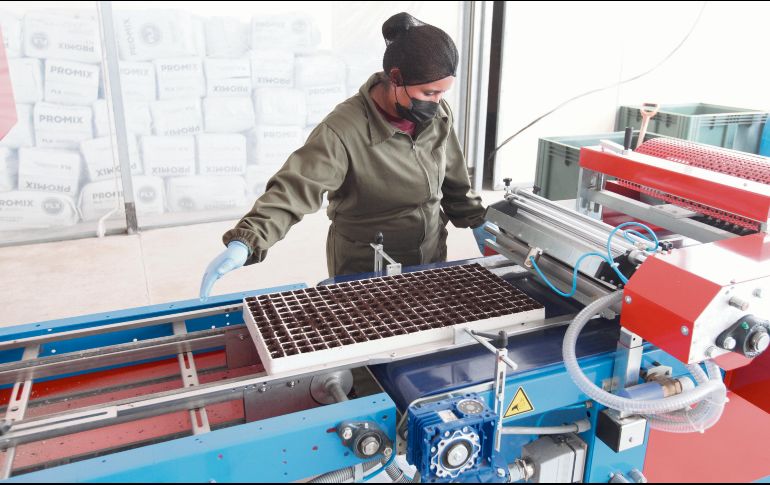 La estabilidad macroeconómica del país es un atractivo para la inversión de empresas extranjeras. EL INFORMADOR/ A. Camacho