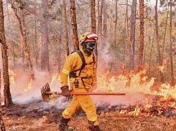 Según dependencias gubernamentales, en el Estado ha habido más incendios pero de menor afectación. ESPECIAL