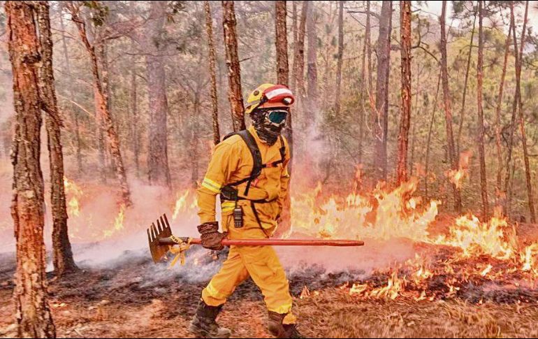 Según dependencias gubernamentales, en el Estado ha habido más incendios pero de menor afectación. ESPECIAL