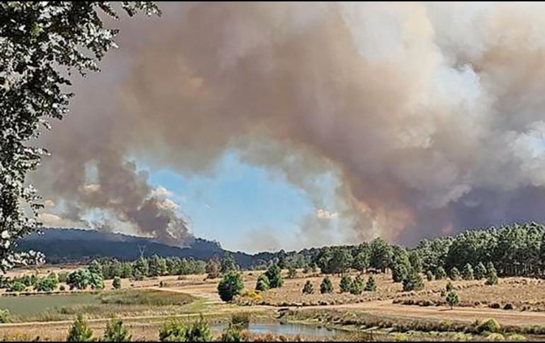 Este año ha sido difícil en cuestión de incendios forestales. ESPECIAL