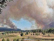 Este año ha sido difícil en cuestión de incendios forestales. ESPECIAL