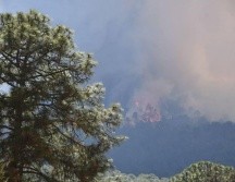 Los bosques de Jalisco están en llamas. ESPECIAL